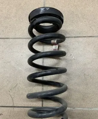 Ford Edge II Rear coil spring F2GC5560AND F2GC5560