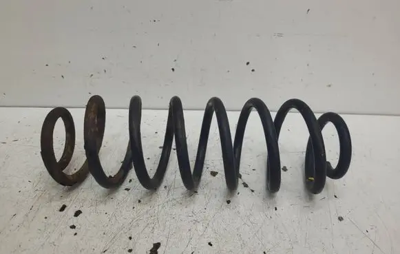 Volkswagen PASSAT B6 Rear coil spring