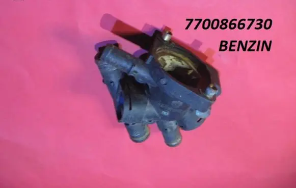Thermostat/thermostat housing