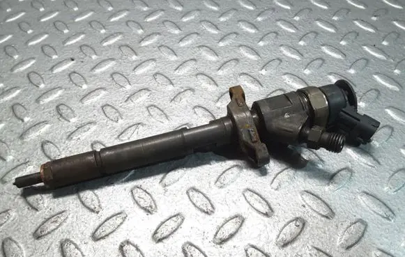 Citroen C4 I Fuel injector 0445110297
