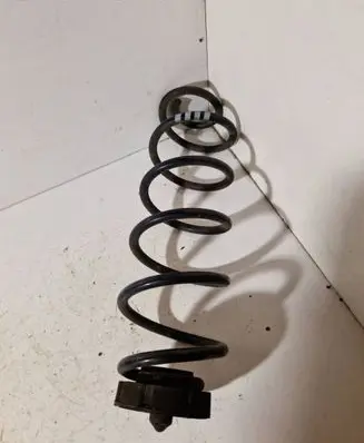 Rear coil spring