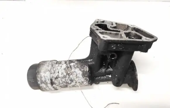 Volkswagen PASSAT B5.5 Oil filter cover 038115389