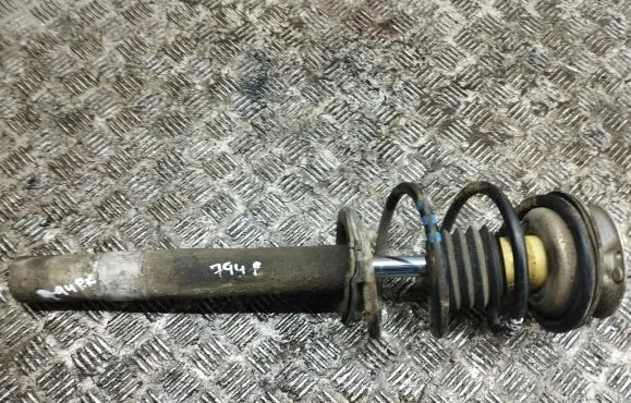 BMW 5 E39 Front shock absorber with coil spring