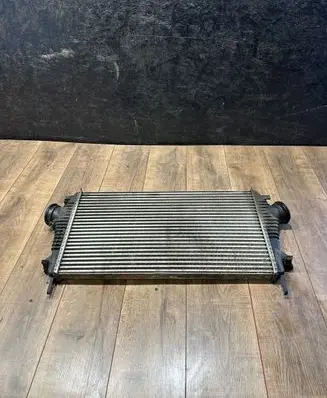 Opel Insignia A Intercooler radiator 13241751 P1831002 300411