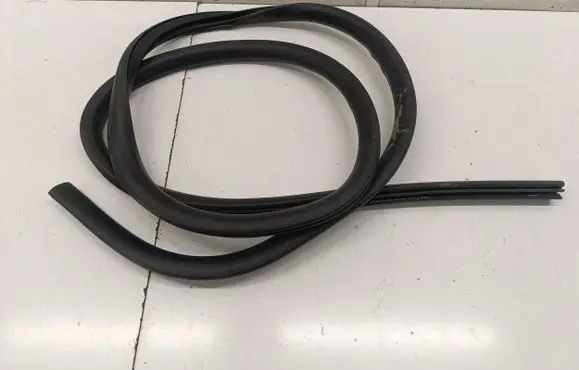 Ford Mustang Mach-E Rear door rubber seal (on body) 