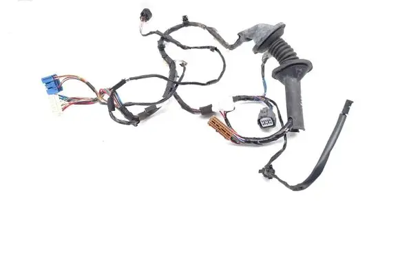 Front door wiring loom