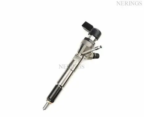 Dacia Duster Fuel injector 166006212R