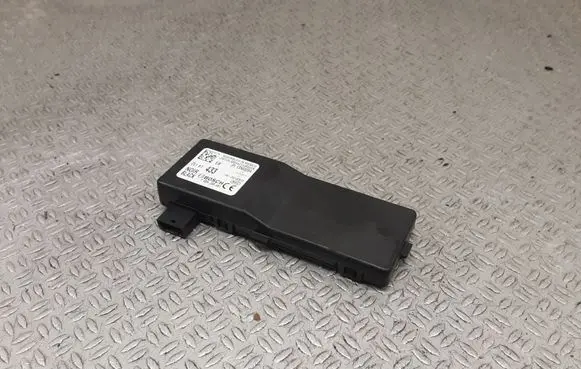 Chevrolet Volt I Door central lock control unit/module 13503204