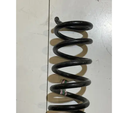 Ford Mustang VI Rear coil spring JR3C5B859UB