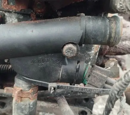 Volkswagen Golf IV Engine coolant pipe/hose