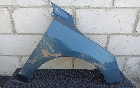 Ford Focus Fender