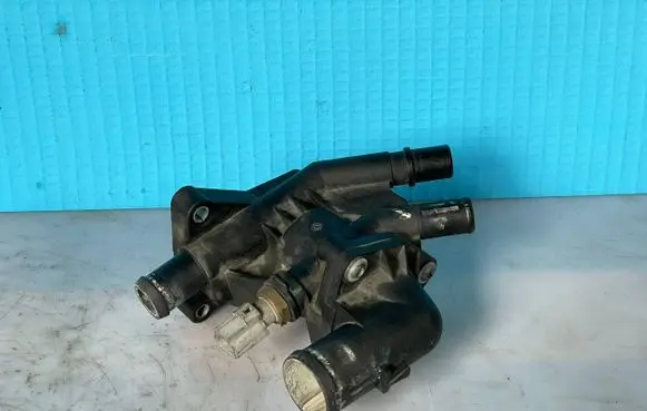 Thermostat/thermostat housing