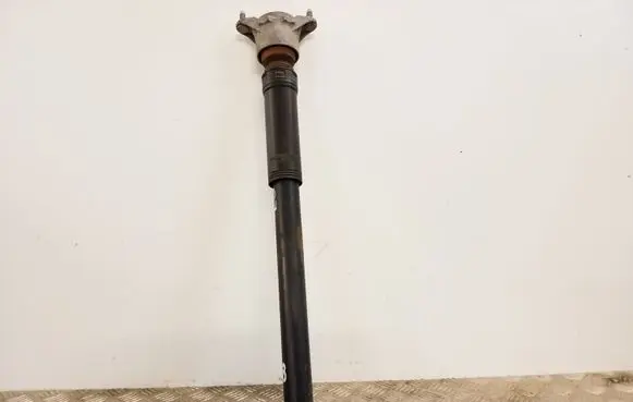 Mercedes-Benz B W246 W242 Rear shock absorber/damper A2463201831 80140002965