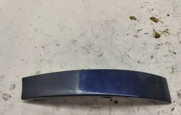 Rear/tail light trim molding