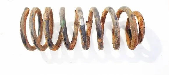 Rear coil spring