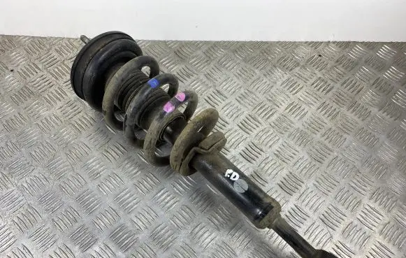 SsangYong Rexton Front shock absorber with coil spring