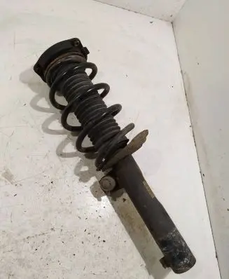Volkswagen PASSAT B6 Front shock absorber with coil spring 3c0413031n