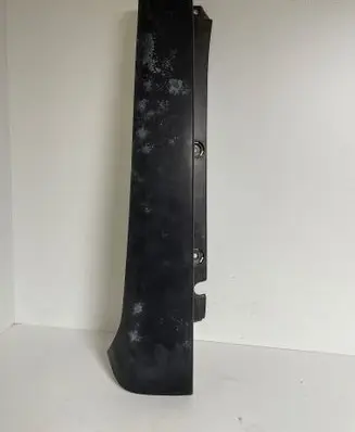 Rear/tail light trim molding