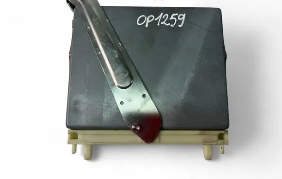 Engine control unit/module ECU