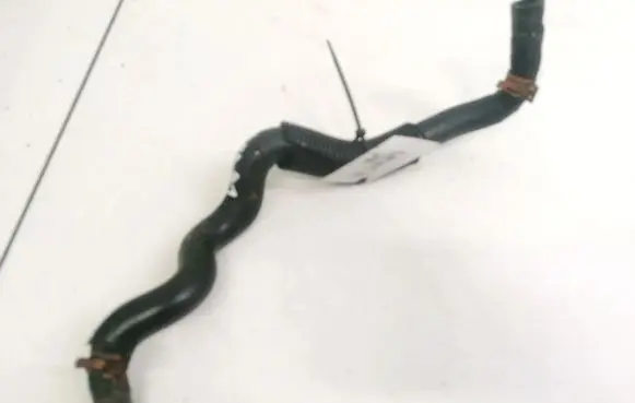 Nissan Primera Engine coolant pipe/hose