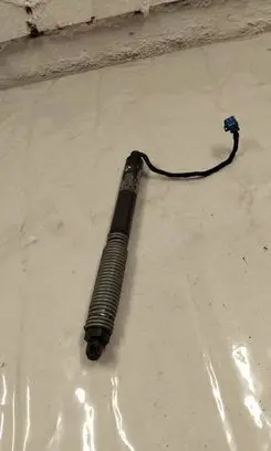 Tailgate strut