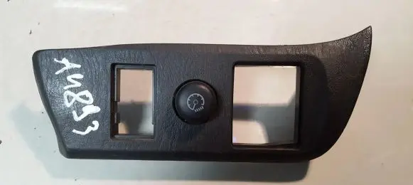 Panel lighting control switch