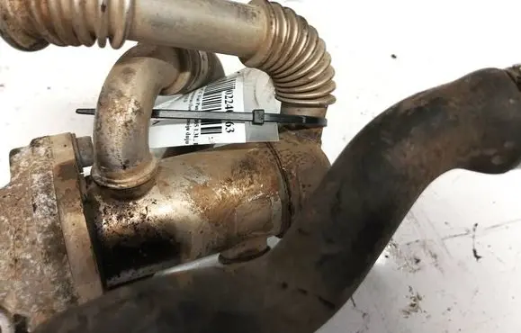 Fiat Punto (188) EGR valve cooler 55197846