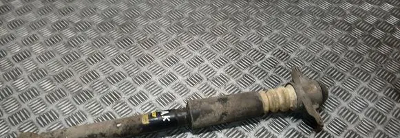 Volkswagen PASSAT B7 Rear shock absorber/damper G1057