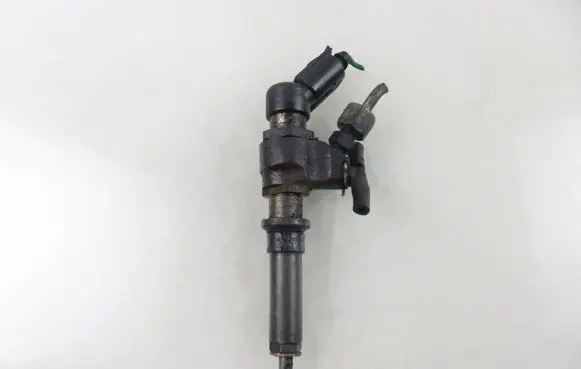 Citroen Xsara Fuel injector 9636819380