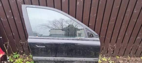 Volvo S80 Front door