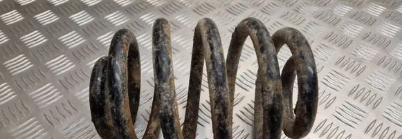 BMW 3 E46 Rear coil spring
