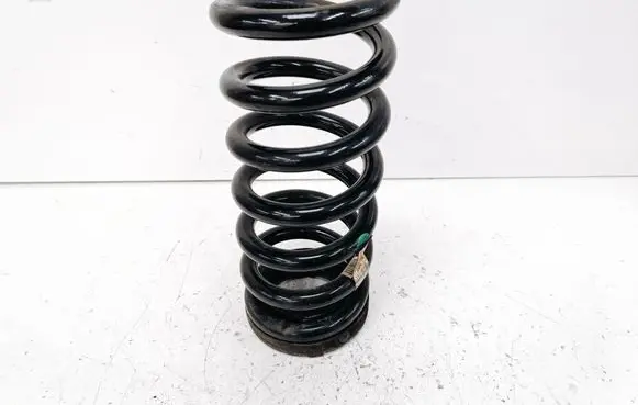 Ford Fusion II Rear coil spring DG9C5560NND