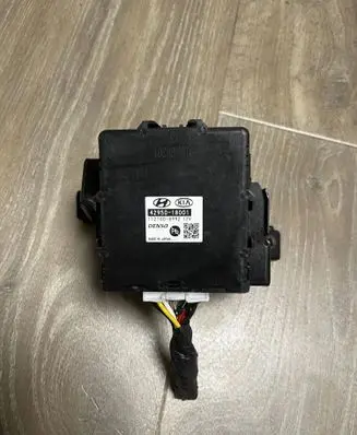Hyundai Kona I Other devices 4295018001
