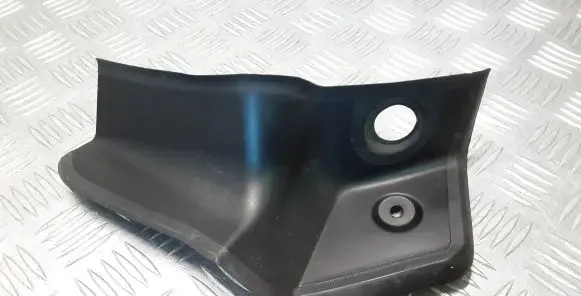 Rear/tail light trim molding