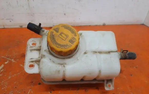 Chevrolet Aveo Coolant expansion tank/reservoir 96815542
