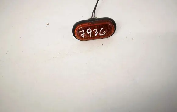 Renault Trafic II (X83) Front fender indicator light 7700847333