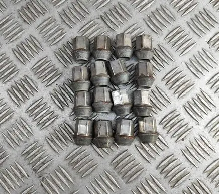Land Rover Range Rover Evoque L538 Nuts/bolts DJ321012AA