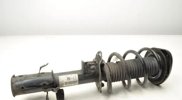 Ford Kuga III Front shock absorber/damper LX6118K001SAE