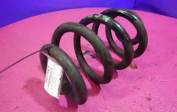 Front coil spring
