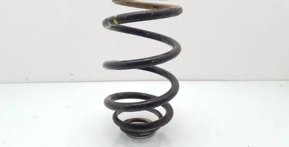 Renault Trafic II (X83) Rear coil spring
