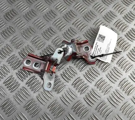 Renault Austral Front door hinges set 804018984R 804211903R