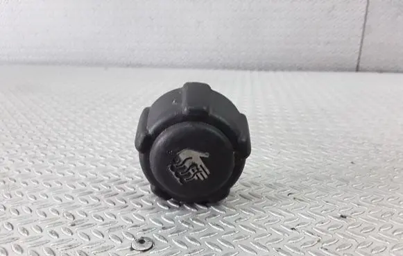 Renault Espace - Grand espace IV Coolant expansion tank/reservoir cap 