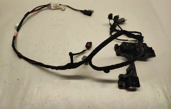 Other wiring loom