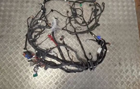 Renault Kangoo III Other wiring loom 403882234R