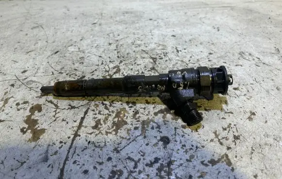 Renault Megane III Fuel injector 0445110485