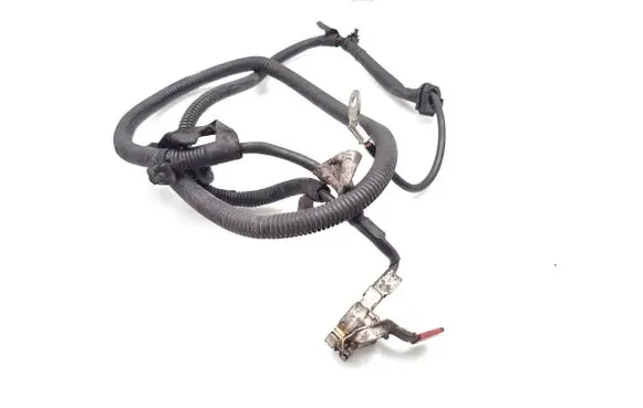 Peugeot 1007 Wires (generator/alternator) 9653495880