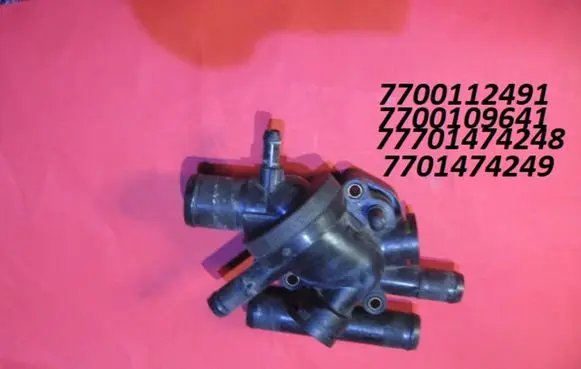 Thermostat/thermostat housing