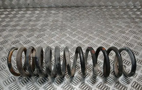 Rear coil spring