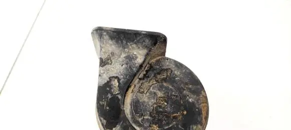 Honda HR-V Horn signal E335717