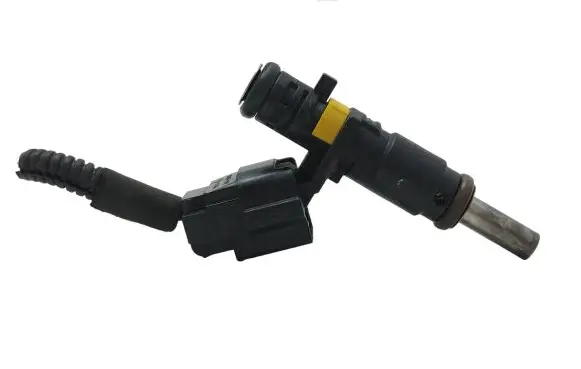 Citroen C3 Fuel injector 7528176 B160B06191